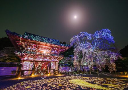 天野山金剛寺 落慶祭「光の切り絵」